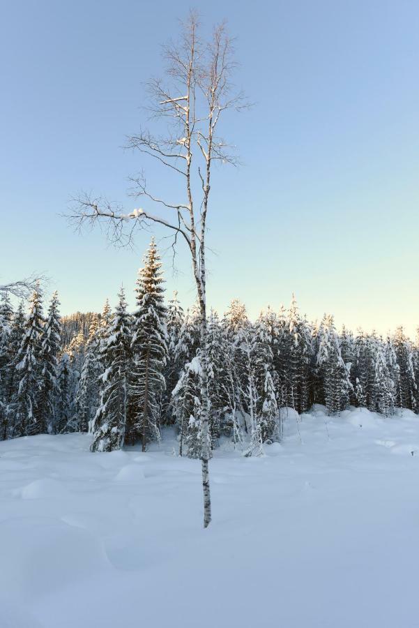 Koselig Hytte I Hemsedal Exteriér fotografie